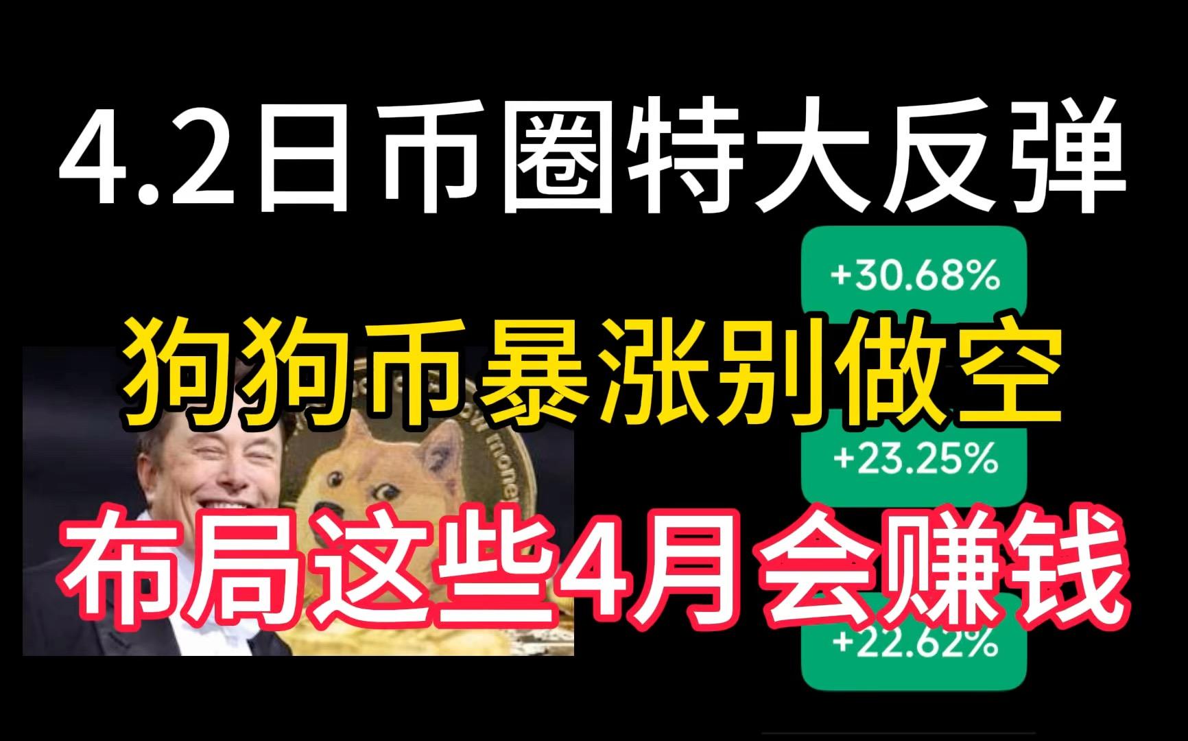包含TON冲破狗狗币美元大关，牛市是否已来临？的词条